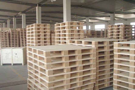 ������Ѭ������