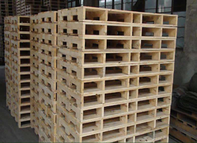 ����ľ����